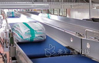 智能分拣与柔性输送 现代物流技术的双重引擎